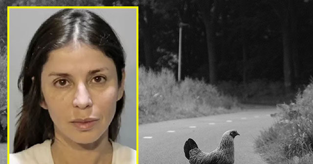 Florida Woman Assaults Driver for Hitting Chicken on the Road