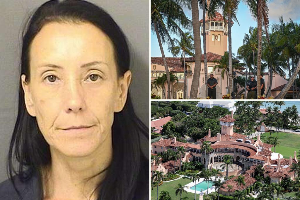 Florida woman Caroline Shaw detained near Mar-a-Lago security checkpoint after claiming she had an important message for President Trump