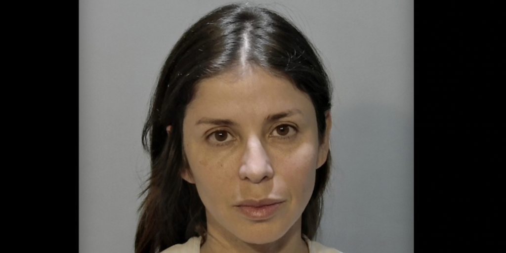 Florida woman angry at driver for reportedly running over chicken crossing the road; attempts to 'teach her a lesson': Police