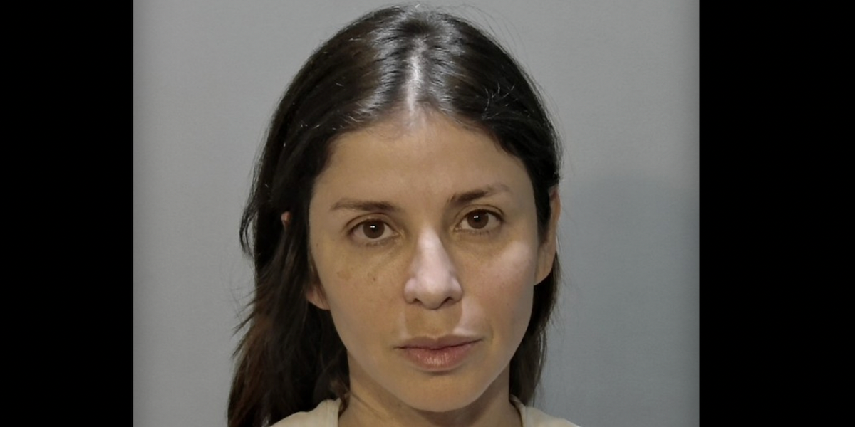 Florida woman angry at driver for reportedly running over chicken crossing the road; attempts to 'teach her a lesson': Police