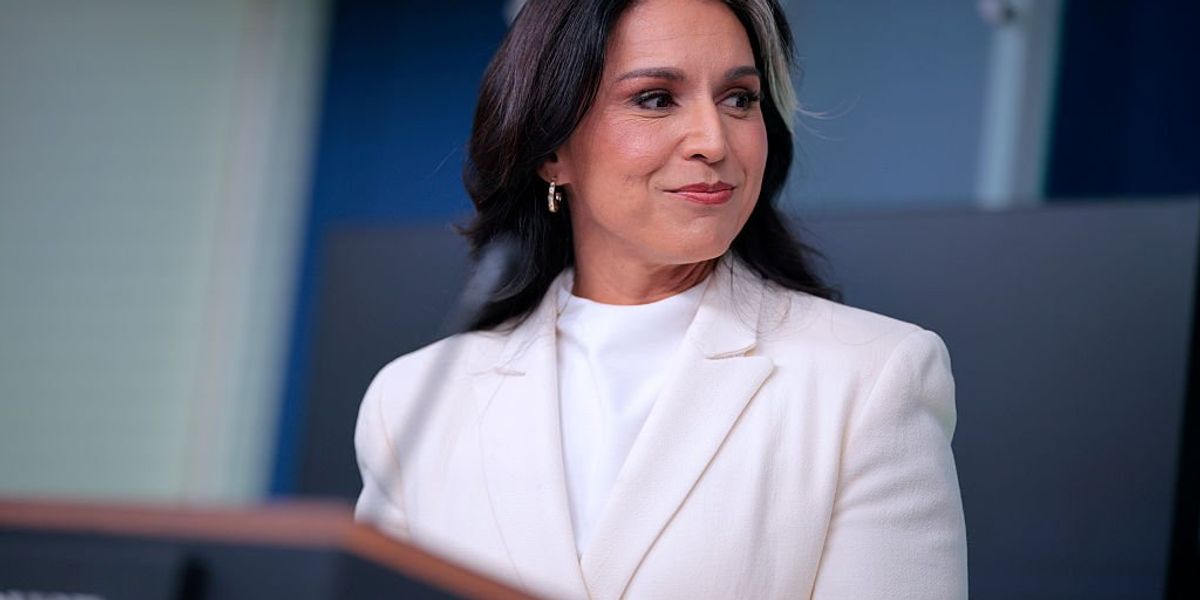 Focused attack: Anxious liberal media targets Gabbard's claim of 'treasonous conspiracy'