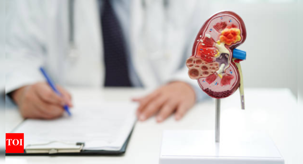 Foods that are harmful to your kidneys that you may be consuming every day