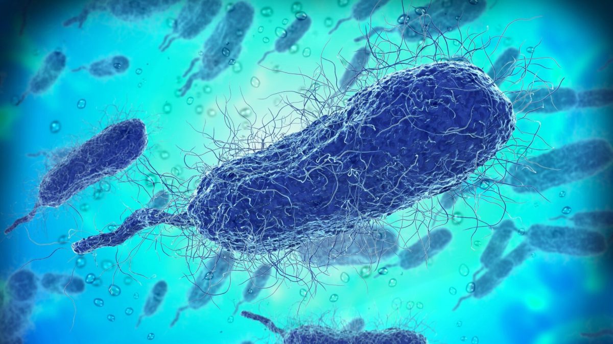 Four People in Florida Have Died This Year from Flesh-Eating Bacteria