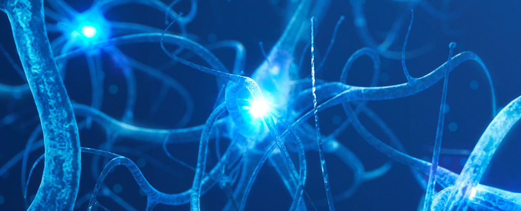 Four Unique Patterns That Could Indicate Alzheimer's, According to Research