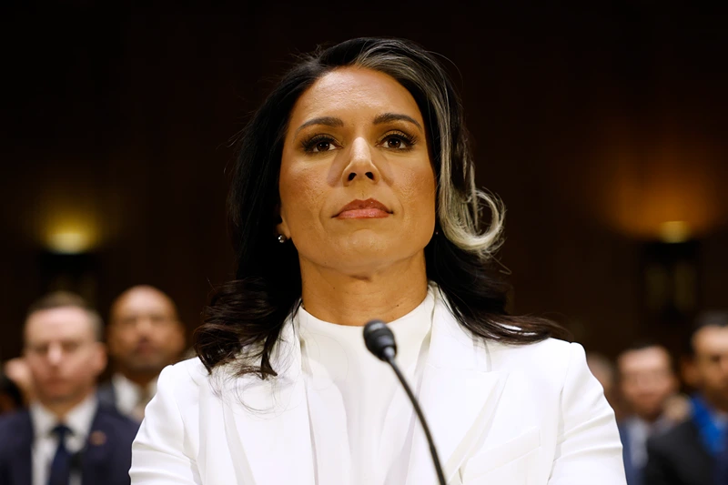 Gabbard claims the Obama administration was involved in a 'treasonous plot'