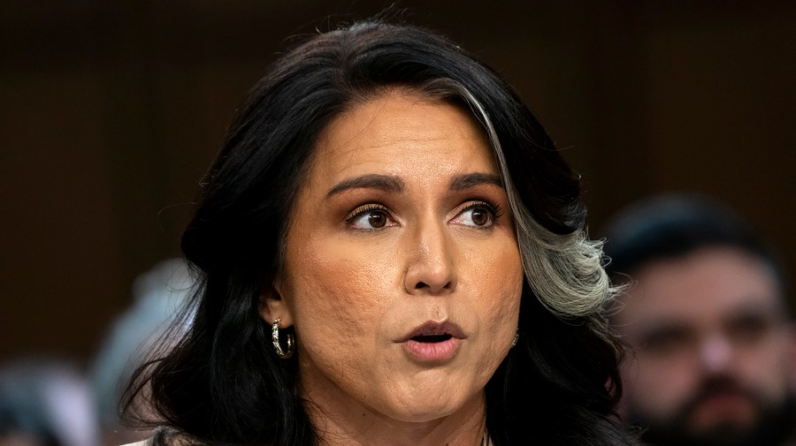Gabbard says Obama administration created false intelligence about Russian interference in the 2016 election.