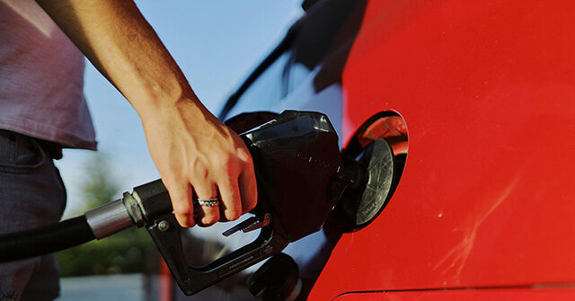 Gas Prices Remain Steady During President Trump's Second Term