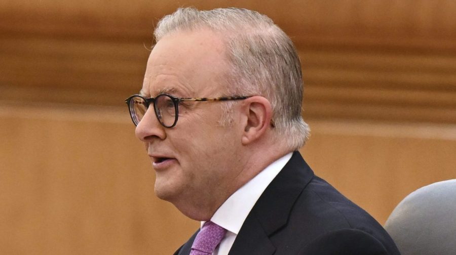 Gaza crisis surpasses 'worst fears,' Australia states amid widespread hunger