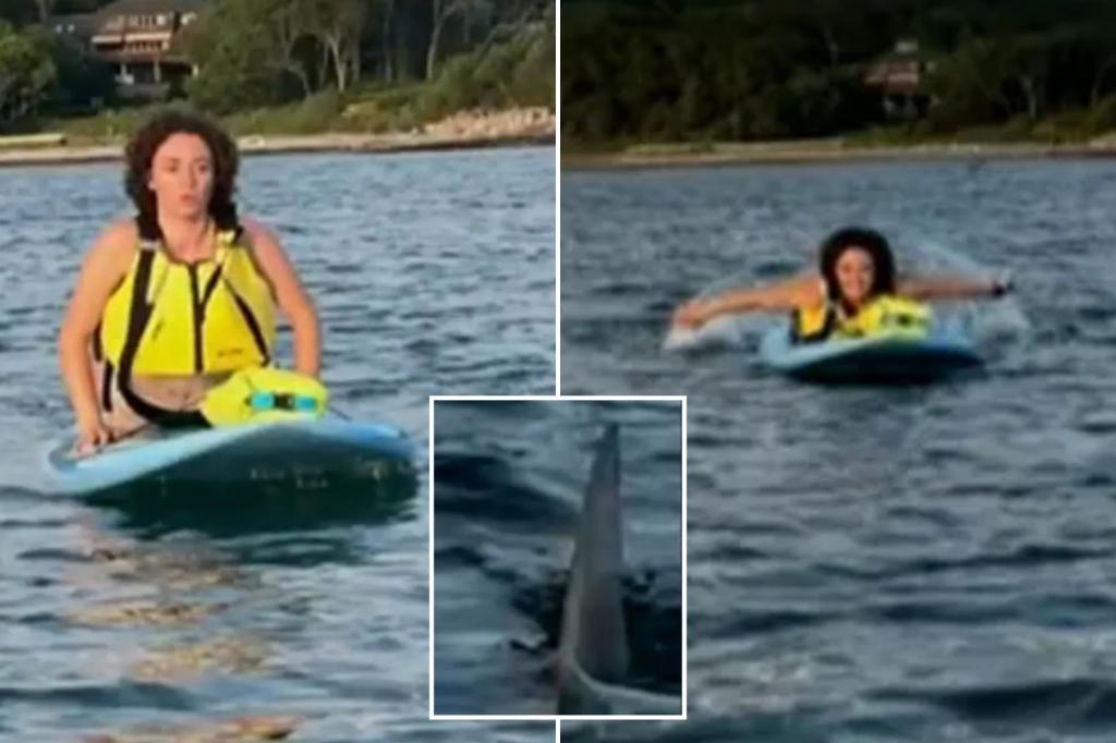 Great white shark interaction with paddleboarders Margaret Bowles and Maddie Cronin in Cape Cod