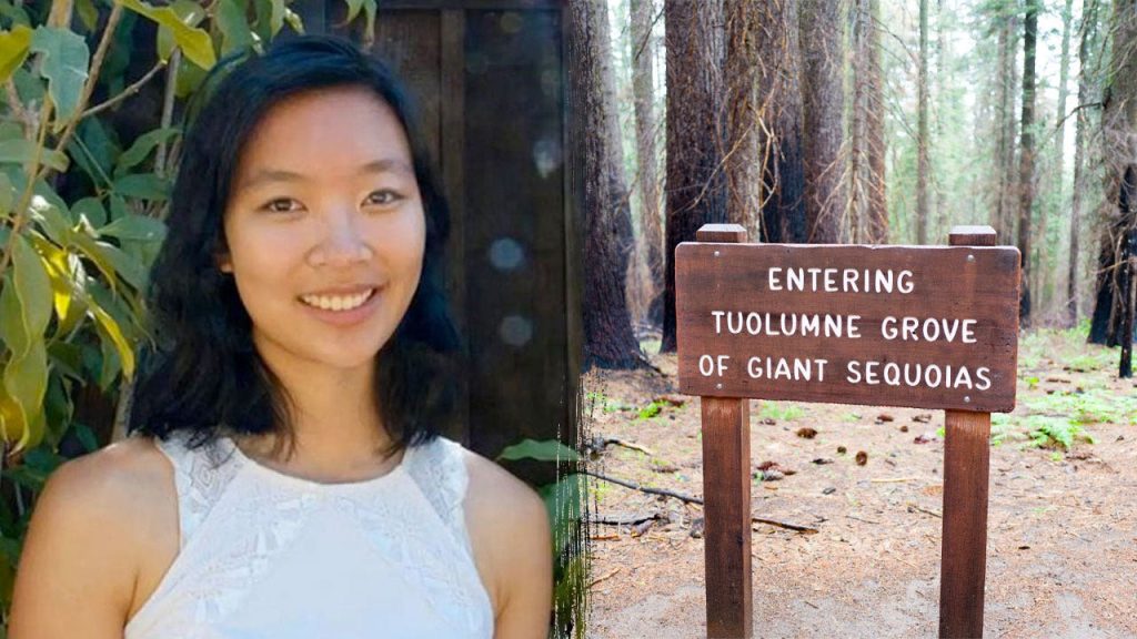 Hiker dies after being hit by a falling tree branch on a well-known trail in Yosemite National Park