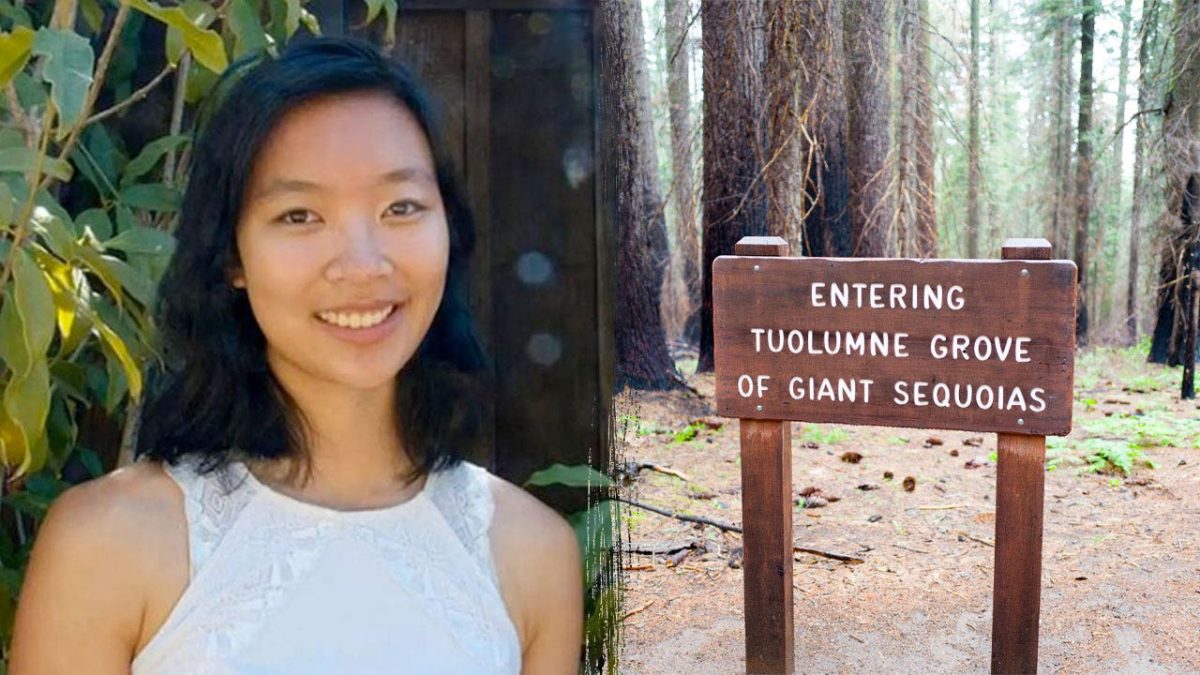 Hiker dies after being hit by a falling tree branch on a well-known trail in Yosemite National Park