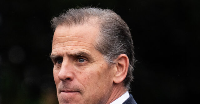 Hunter Biden Defends Joe Biden Against Democrats Criticizing His Mental Decline