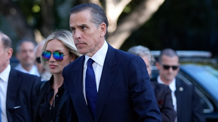 Hunter Biden claims Democrats lost the election due to a lack of loyalty to his father.