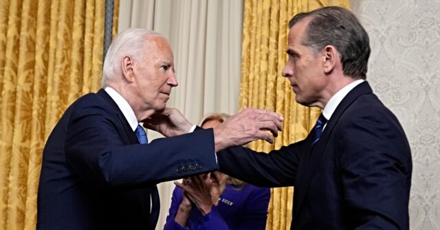 Hunter Biden expresses sadness, stating that Democrats lost the election because of their disloyalty to his father.