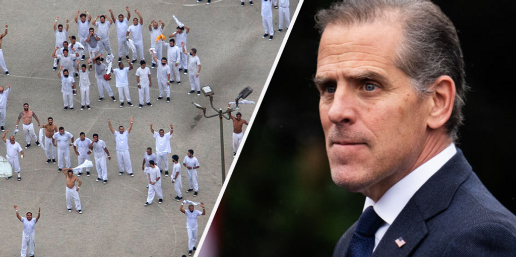 Hunter Biden lashes out over deportations