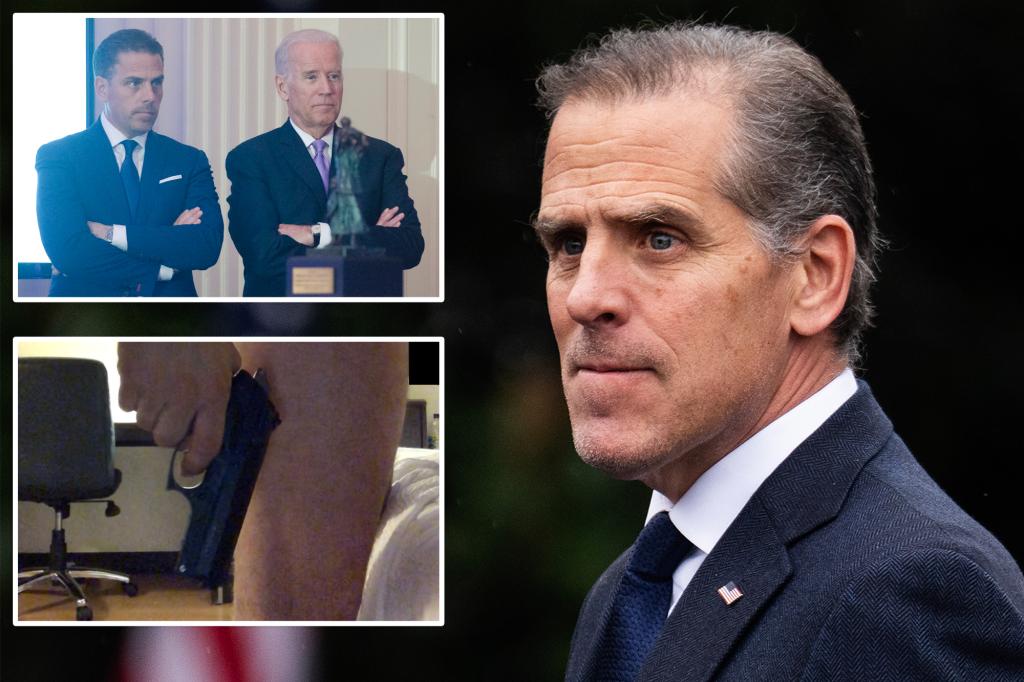 Hunter Biden requested the DNC to cover his legal expenses for tax and gun cases: new book