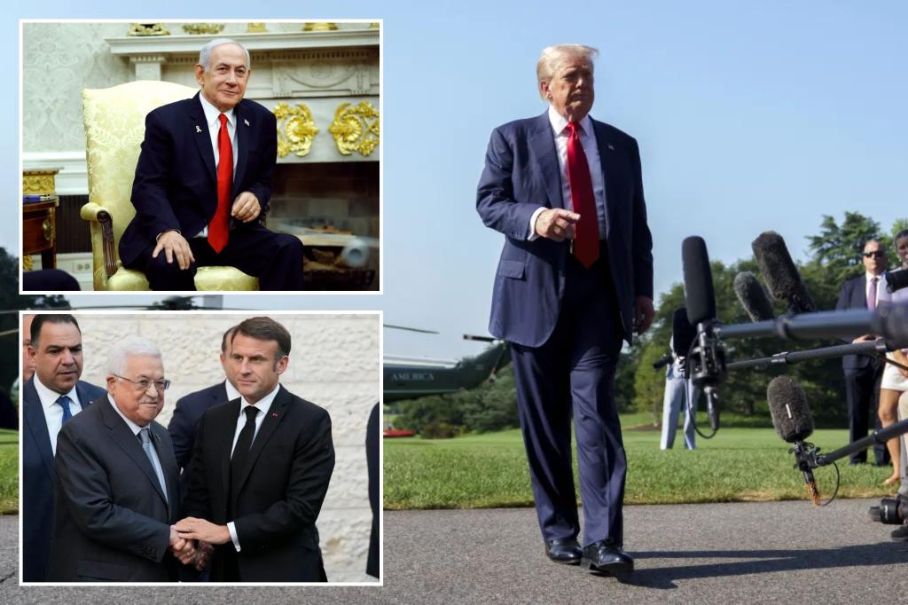 I believe they wish to end their lives.