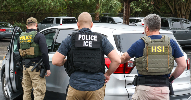 ICE Disrupts Child Exploitation Network in Minneapolis