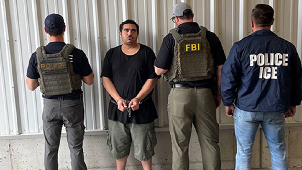 ICE director criticizes 'disturbing' threats towards officers as Ohio man is charged federally