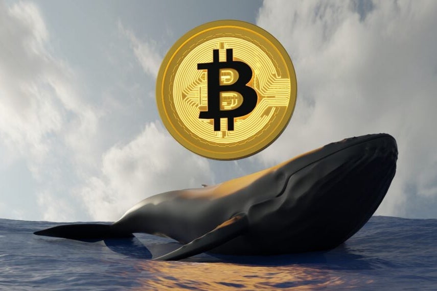 Inactive Bitcoin Whale Stirs After 14 Years, Transfers $469.8 Million in BTC