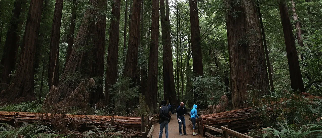 Is the Trump Administration Planning to End the Propaganda Initiative in America’s Parks and Historic Sites?