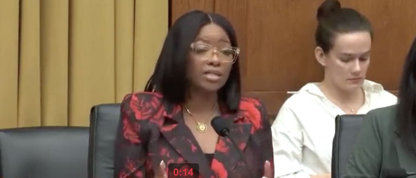 Jasmine Crockett Delivers Confusing Remarks About &lsquo;Sesame Street&rsquo; In Iraq