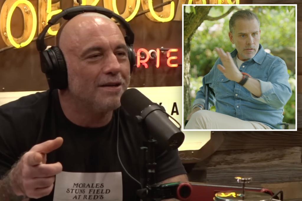 Joe Rogan admires Hunter Biden after the interview about 'crack cocaine'