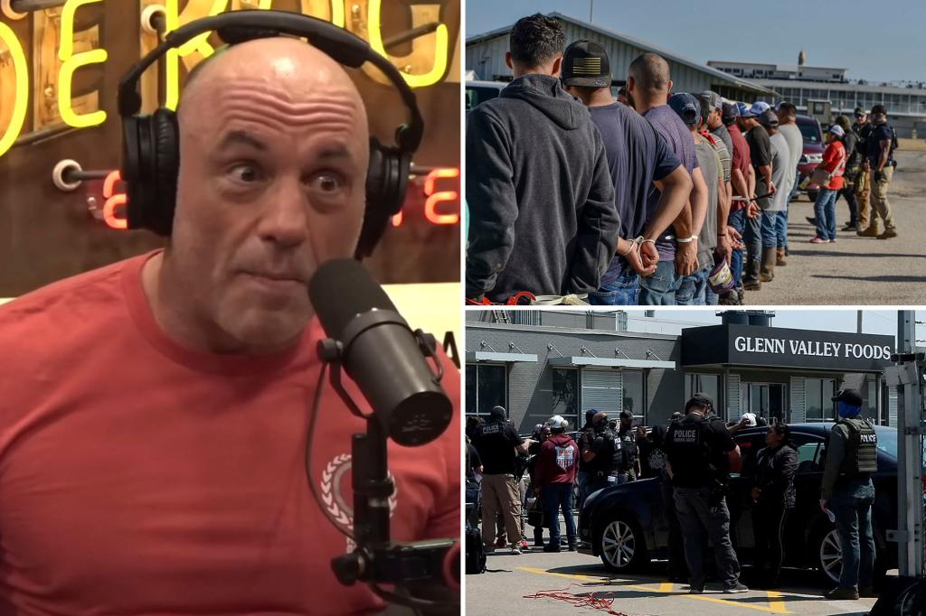 Joe Rogan described ICE's actions against illegal immigrant workers as 'crazy'