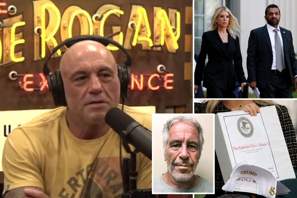 Joe Rogan shares his thoughts on the Jeffrey Epstein documents amid the debate over the DOJ investigation.