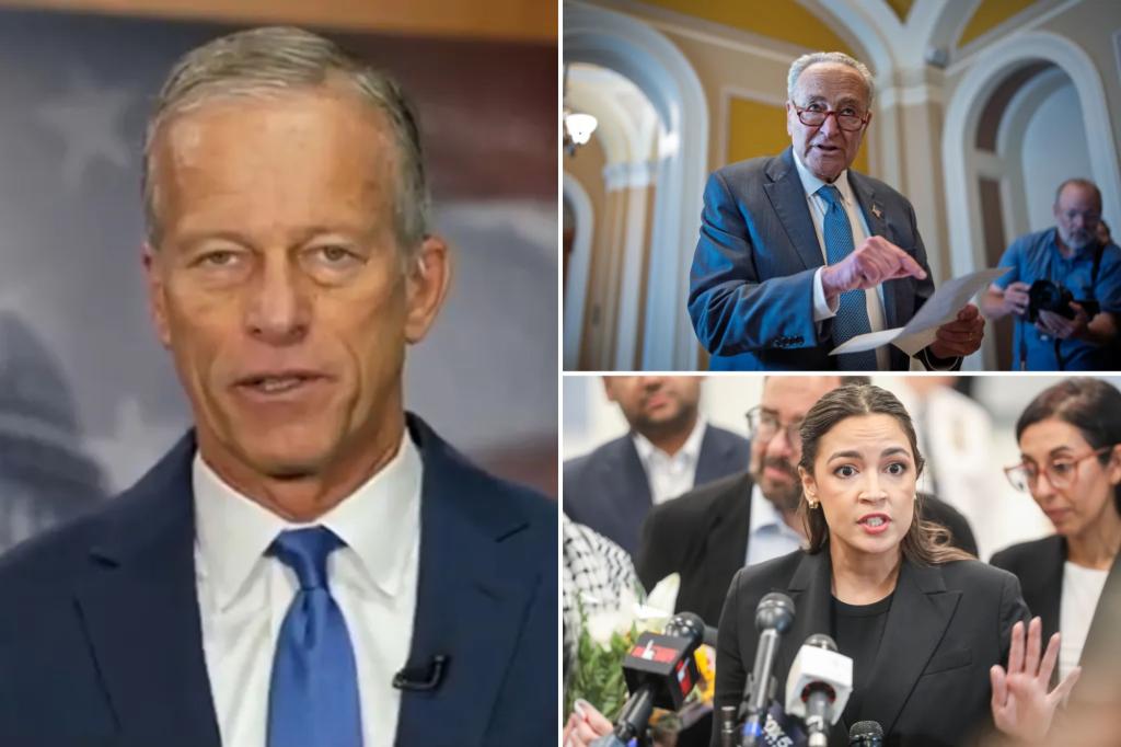 John Thune cautions that Chuck Schumer could allow a government shutdown while vulnerable Democrats try to satisfy the far-left.