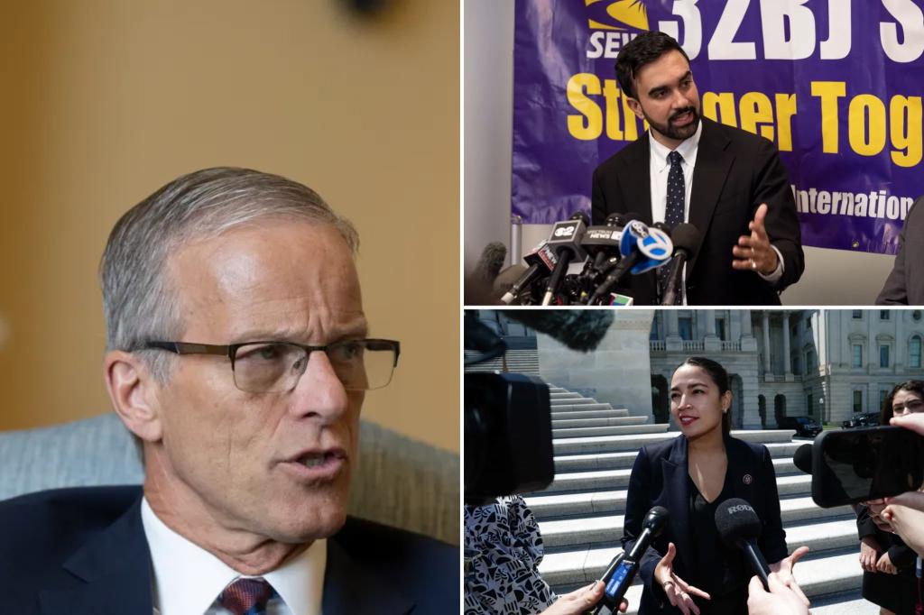 John Thune cautions that Democrats face serious challenges if Zohran Mamdani succeeds in the NYC mayoral election.