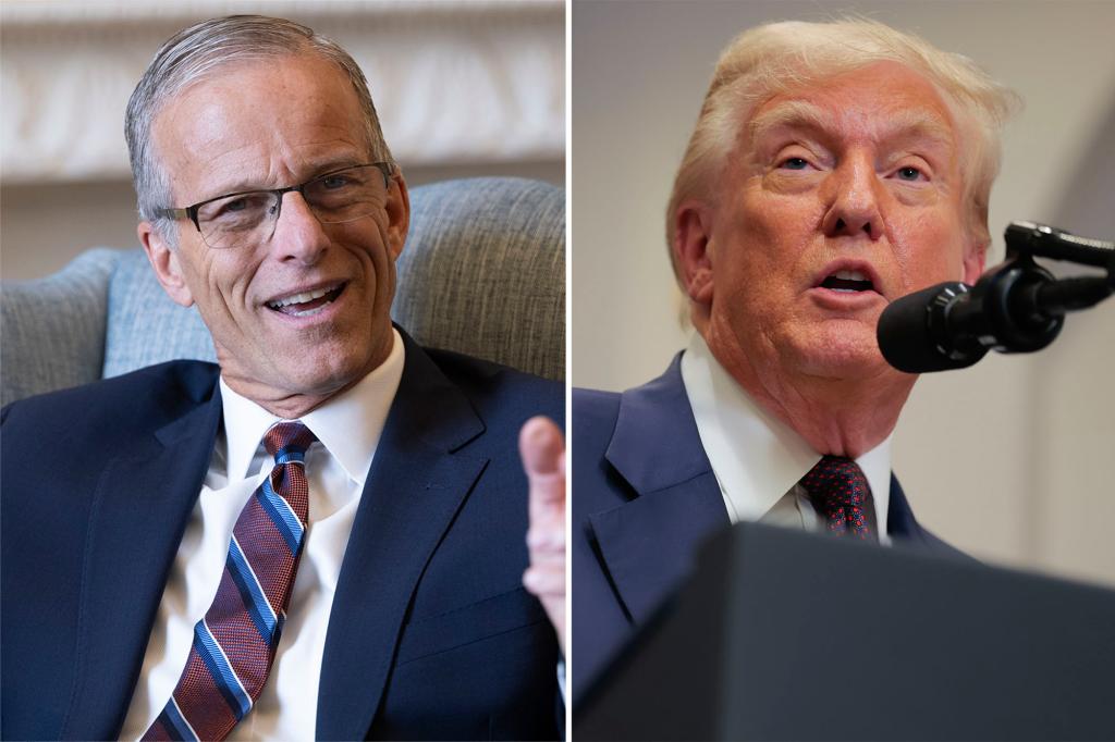 John Thune indicates that recess appointments are a possibility as the struggle for Trump confirmations continues.