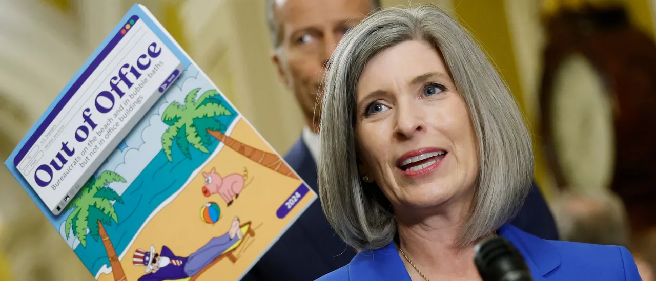Joni Ernst Has Extensive List Of Wasteful Spending She Wants To Cut From Trump Administration