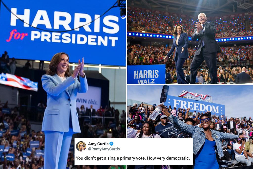 Kamala Harris ridiculed for sharing a post about the one-year mark of her unsuccessful presidential campaign