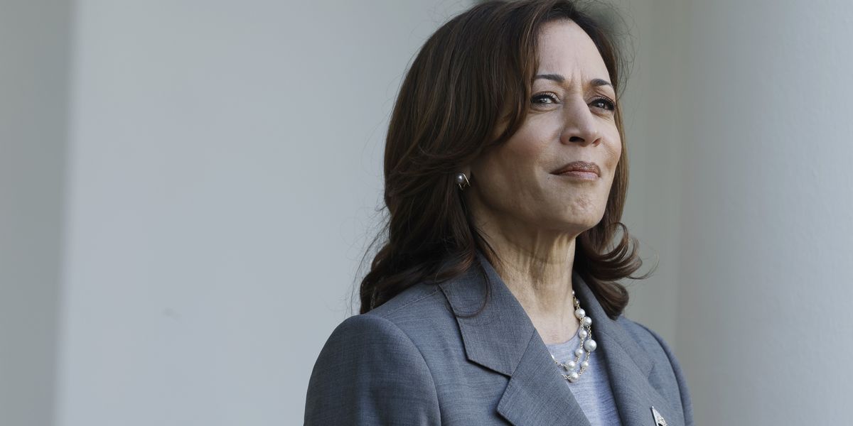 Kamala Harris shares her next move in her political return: 'Dedicated public servant'