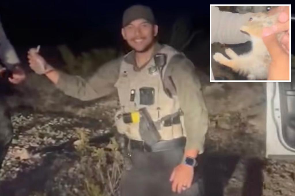 Lawyer of officer who killed rabbit confused about the fuss