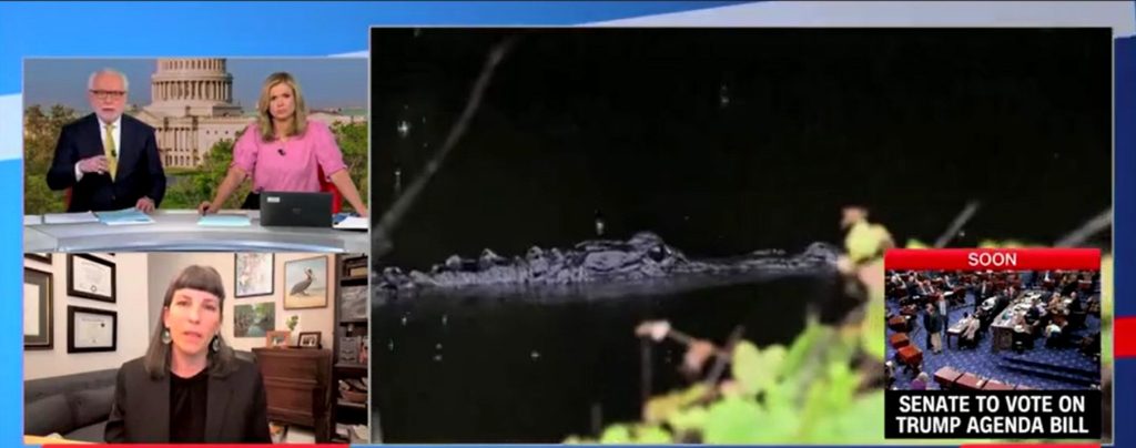 Leader of Green Organization Says She Cares More About Wildlife Than People at Alligator Alcatraz