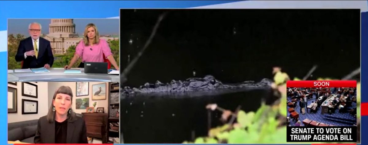 Leader of Green Organization Says She Cares More About Wildlife Than People at Alligator Alcatraz