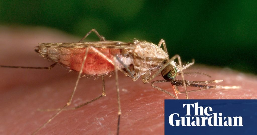 Malaria resurges strongly in Zimbabwe as death toll from the disease triples