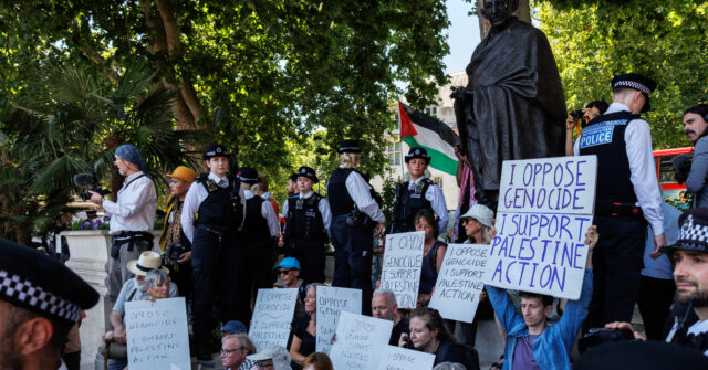 Many supporters of 'Palestine Action' detained at London protest