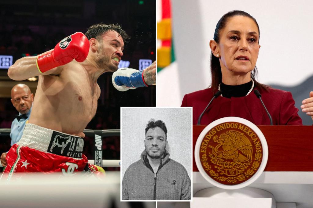 Mexico's President Claudia Sheinbaum seeks to have Julio Cesar Chavez Jr. returned to Mexico to complete his sentence there.