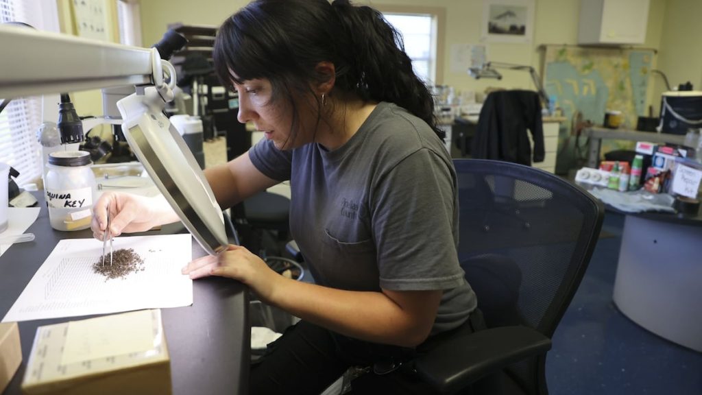 Mosquitoes are flourishing in Tampa Bay. A look at the efforts to keep them away.