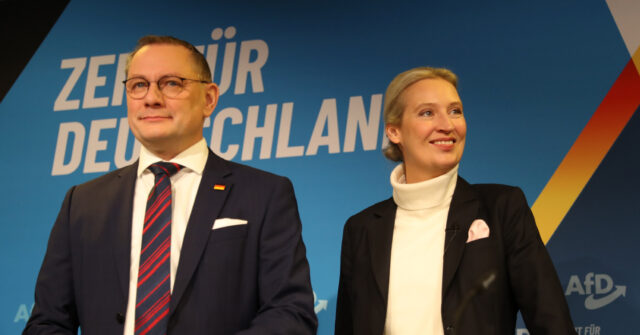 Most Germans Disagree with Government's Prohibition of Anti-Mass Migration AfD Party