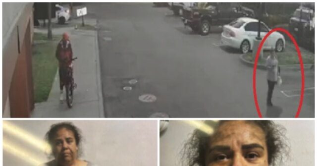 Mother of three falsely claimed she was kidnapped by ICE agents to fundraise