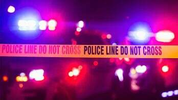 Murders decrease by 17% as ICE arrests rise under Trump administration