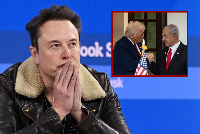 Musk praises Trump's efforts for peace in foreign policy: 'Effectively settled multiple major conflicts globally'