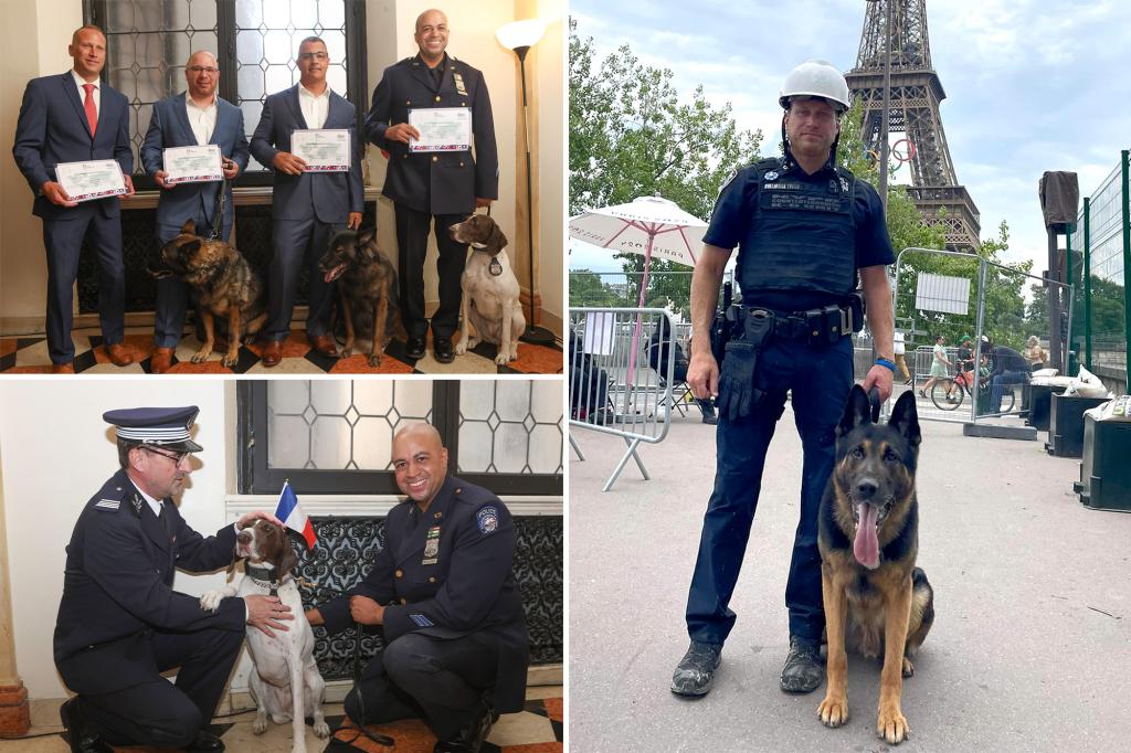 NYPD bomb detection dogs and their officer partners recognized at French consulate