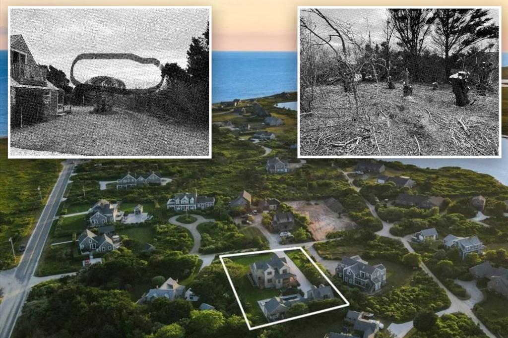 Nantucket property owner puts home on the market for $10 million after cutting down a neighbor’s 55-year-old trees to make way for expansive ocean views, according to a lawsuit.
