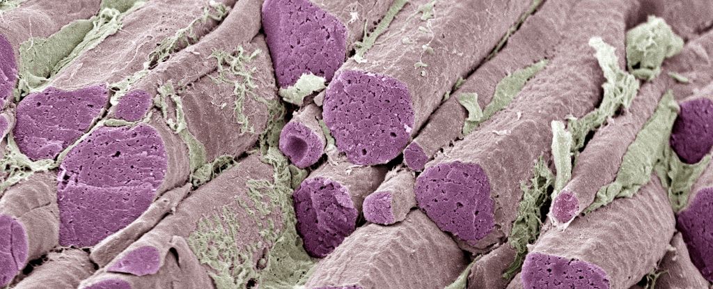 Needle-Free Ozempic Alternative Eliminates One Major Side Effect