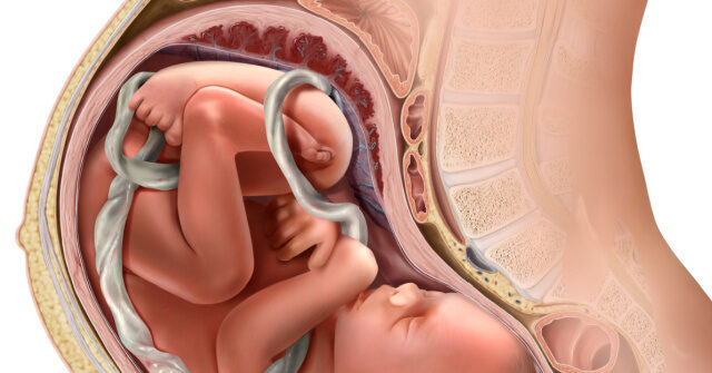 New Clinic in Chicago Provides Third Trimester Abortions